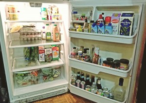 Fridge